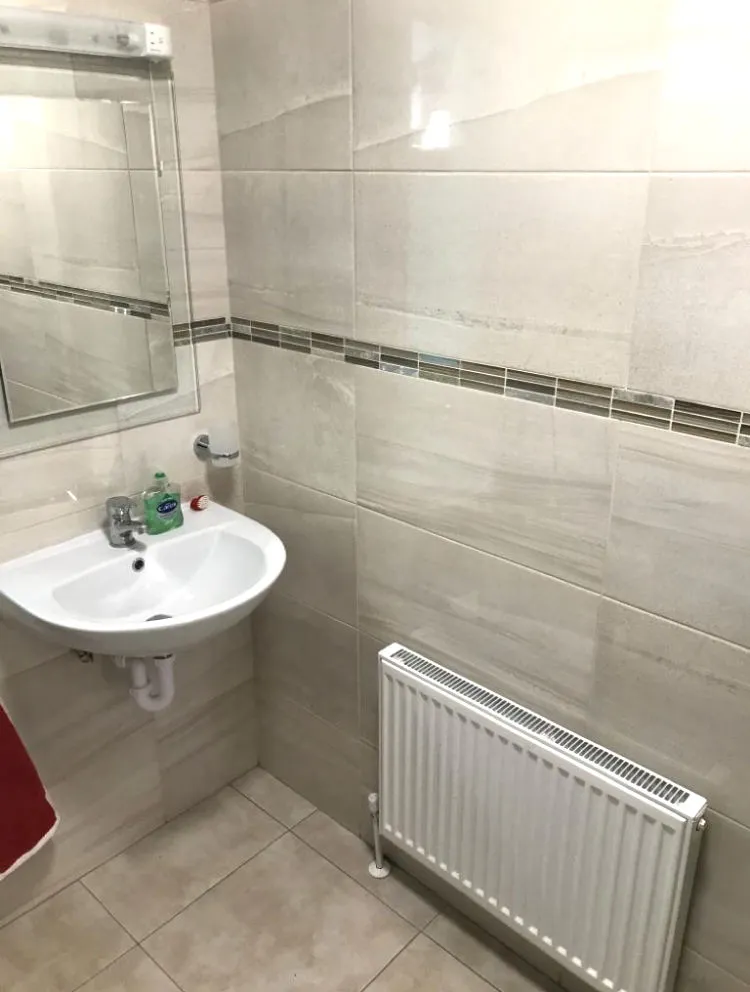 Bathroom sink and mirror